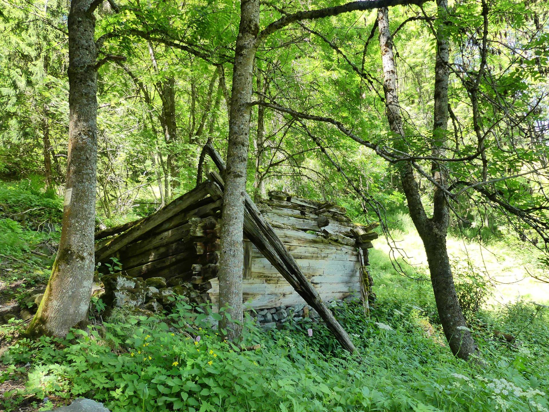 moretta-vissoie-166