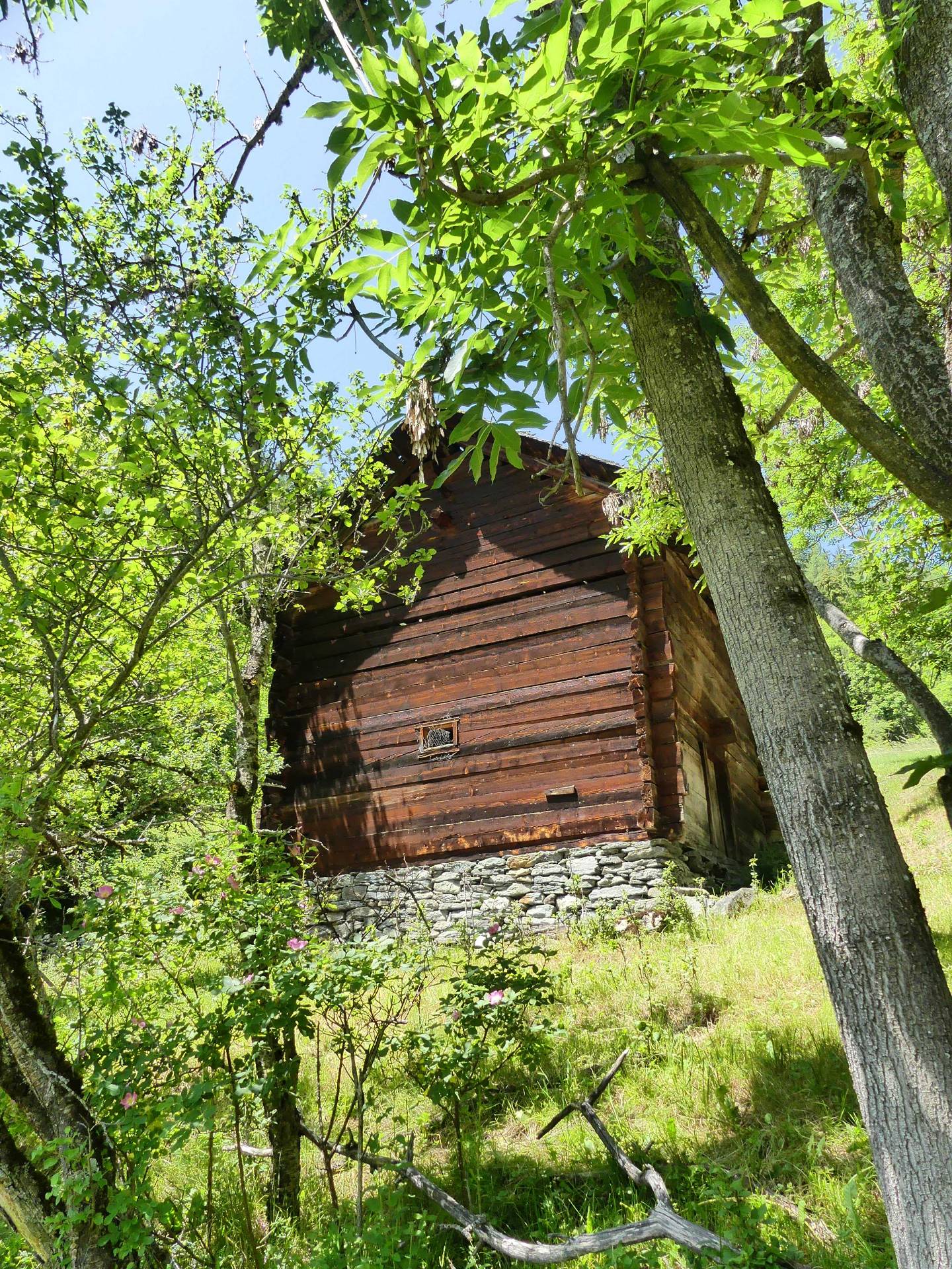 moretta-vissoie-174