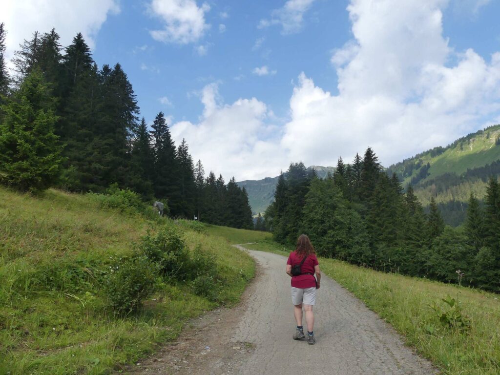 morgins-tovassiere-morgins-102