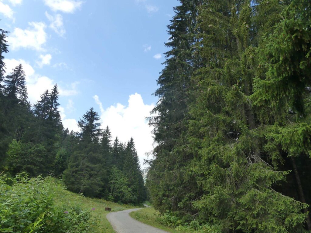 morgins-tovassiere-morgins-103