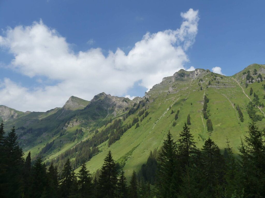 morgins-tovassiere-morgins-114