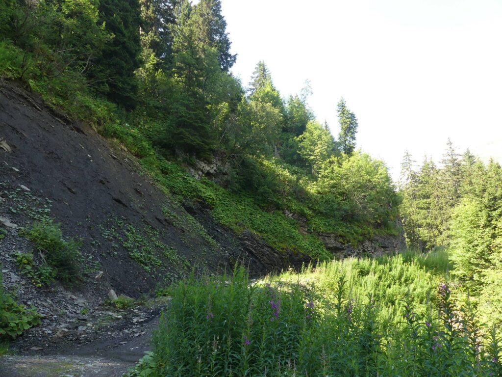 morgins-tovassiere-morgins-121