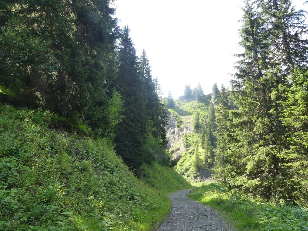 morgins-tovassiere-morgins-123
