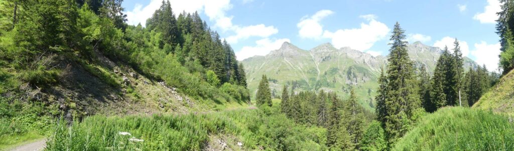 morgins-tovassiere-morgins-125