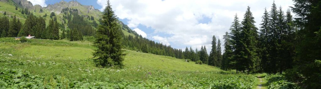 morgins-tovassiere-morgins-161