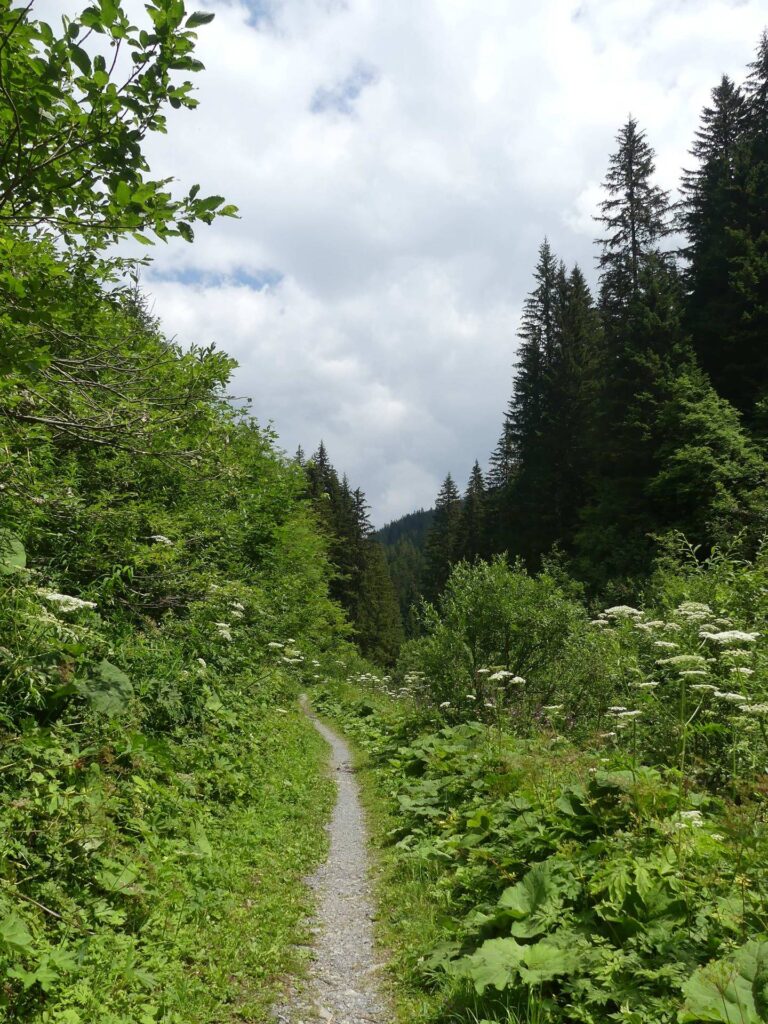 morgins-tovassiere-morgins-164
