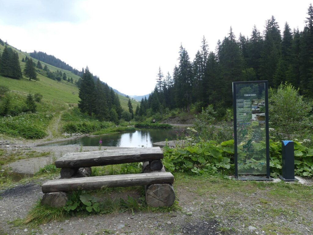 morgins-tovassiere-morgins-166