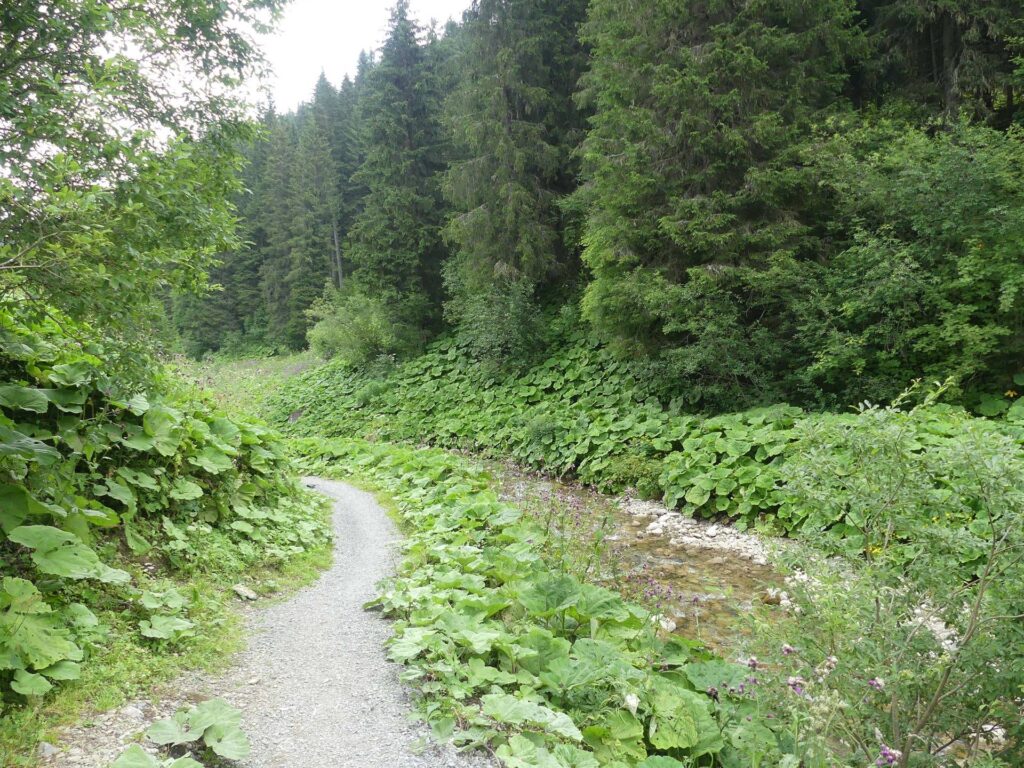 morgins-tovassiere-morgins-170