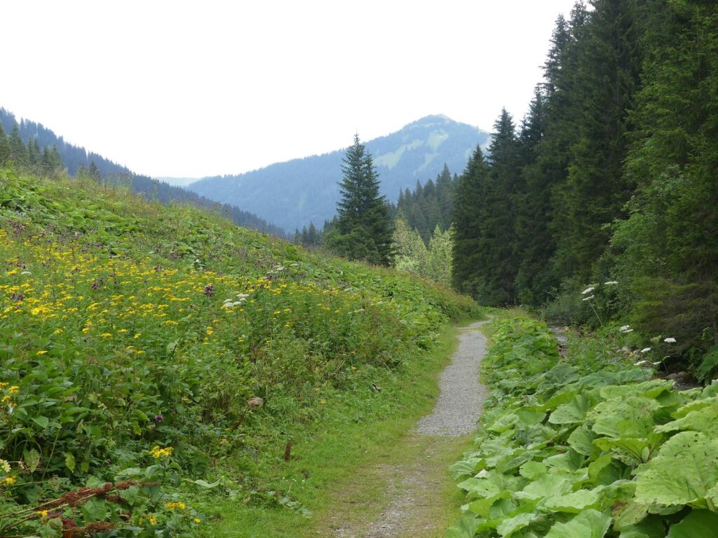 morgins-tovassiere-morgins-173
