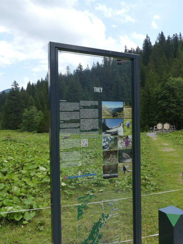 morgins-tovassiere-morgins-176