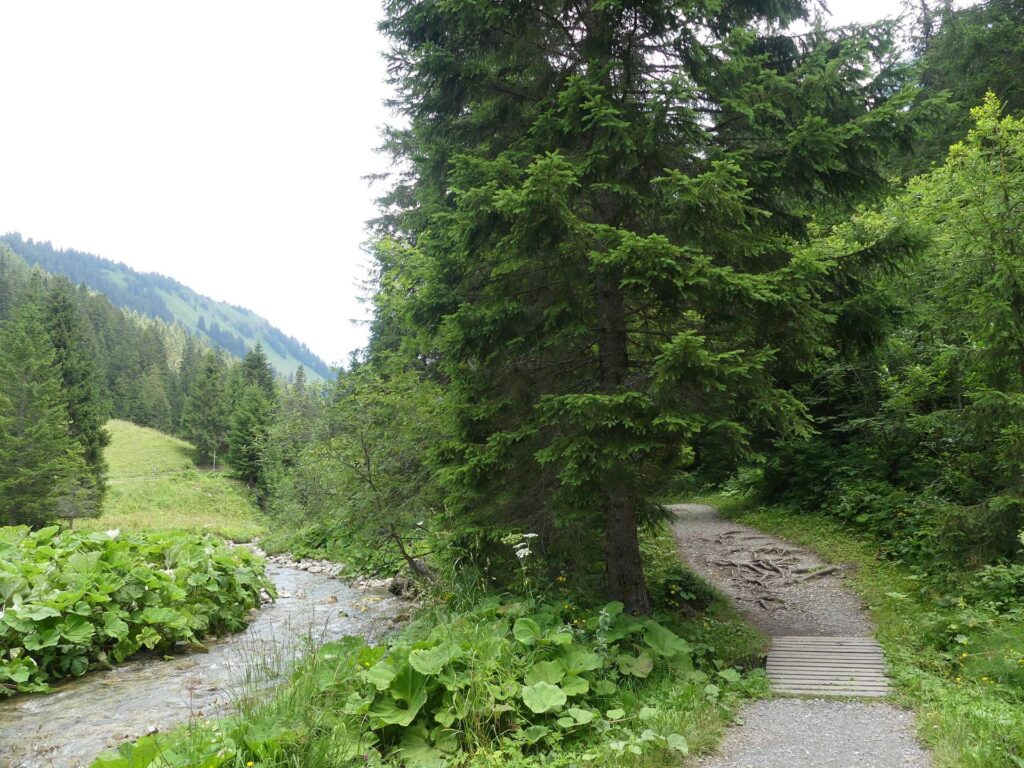 morgins-tovassiere-morgins-179