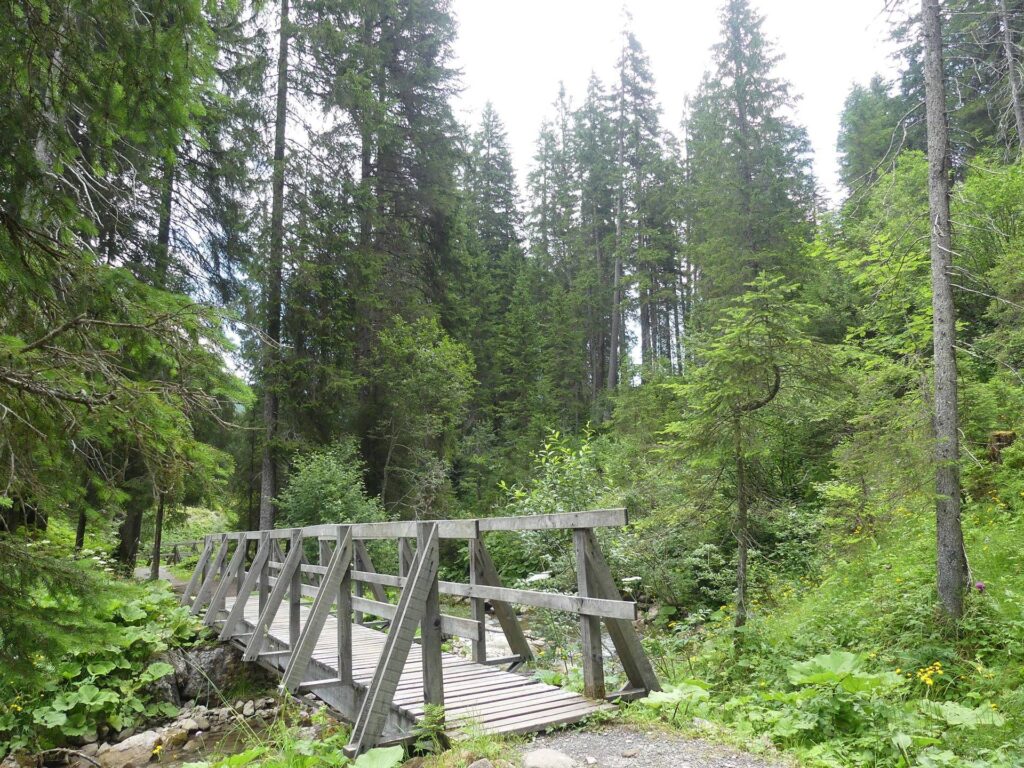 morgins-tovassiere-morgins-183