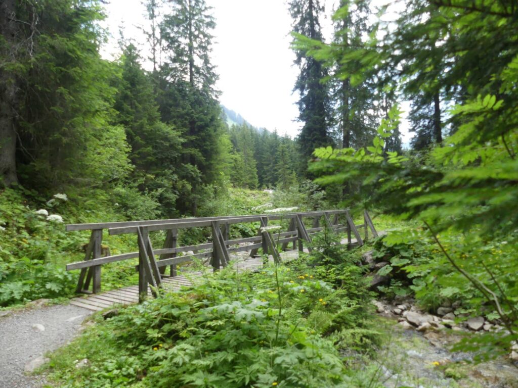 morgins-tovassiere-morgins-184
