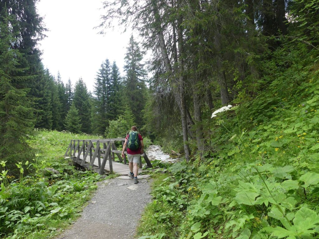 morgins-tovassiere-morgins-185