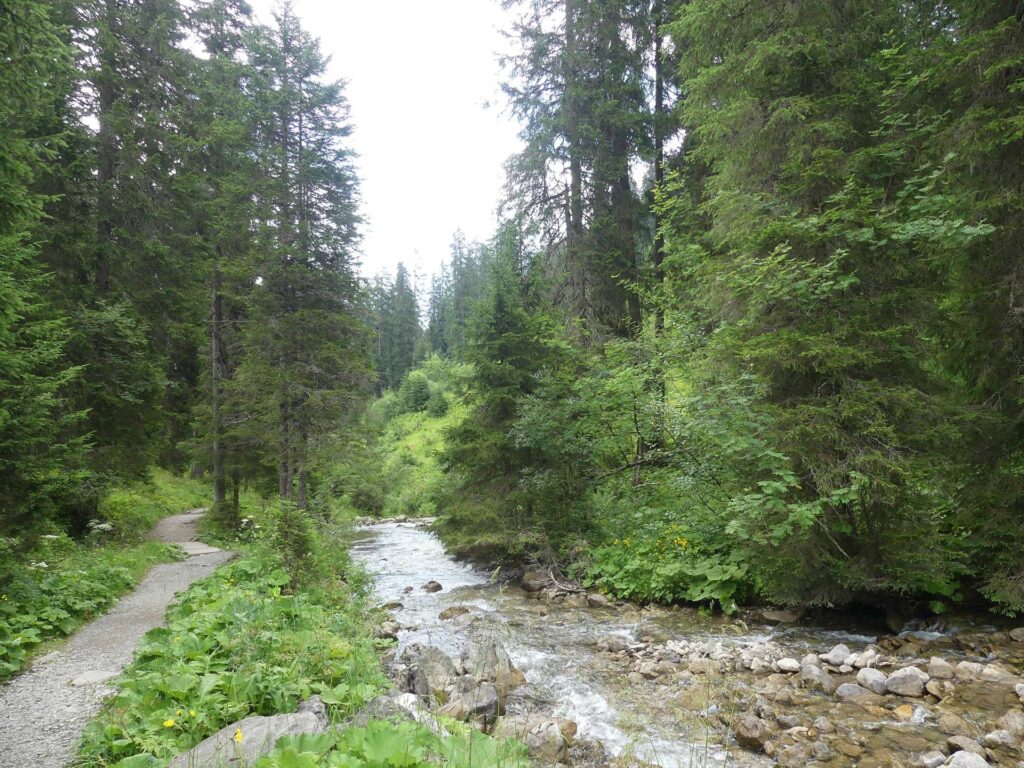 morgins-tovassiere-morgins-189