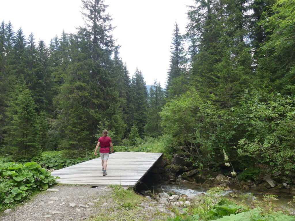 morgins-tovassiere-morgins-193
