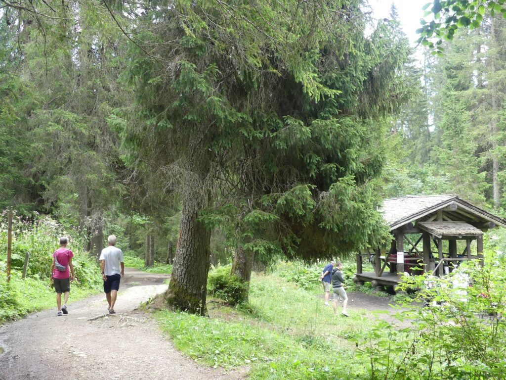 morgins-tovassiere-morgins-200