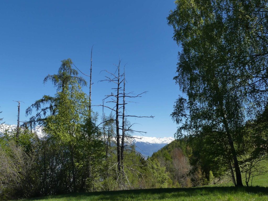nendaz-fey-gare-chamoson-119
