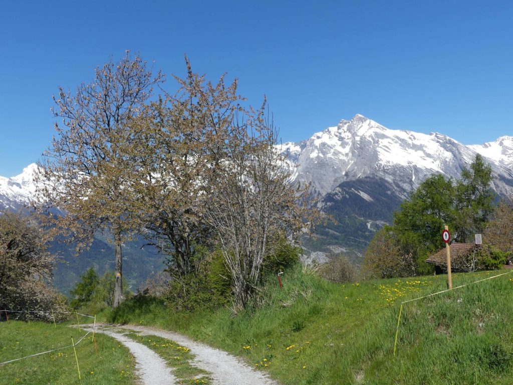 nendaz-fey-gare-chamoson-126