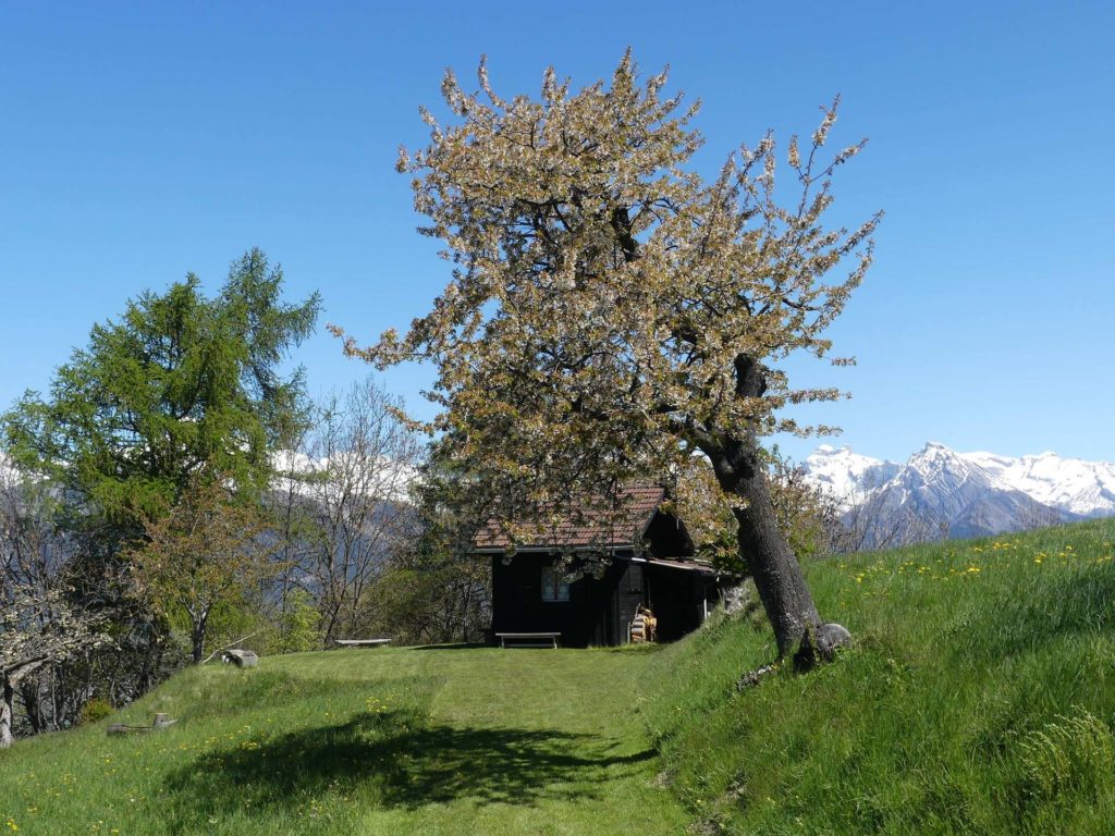 nendaz-fey-gare-chamoson-128