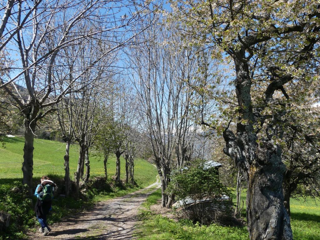 nendaz-fey-gare-chamoson-129