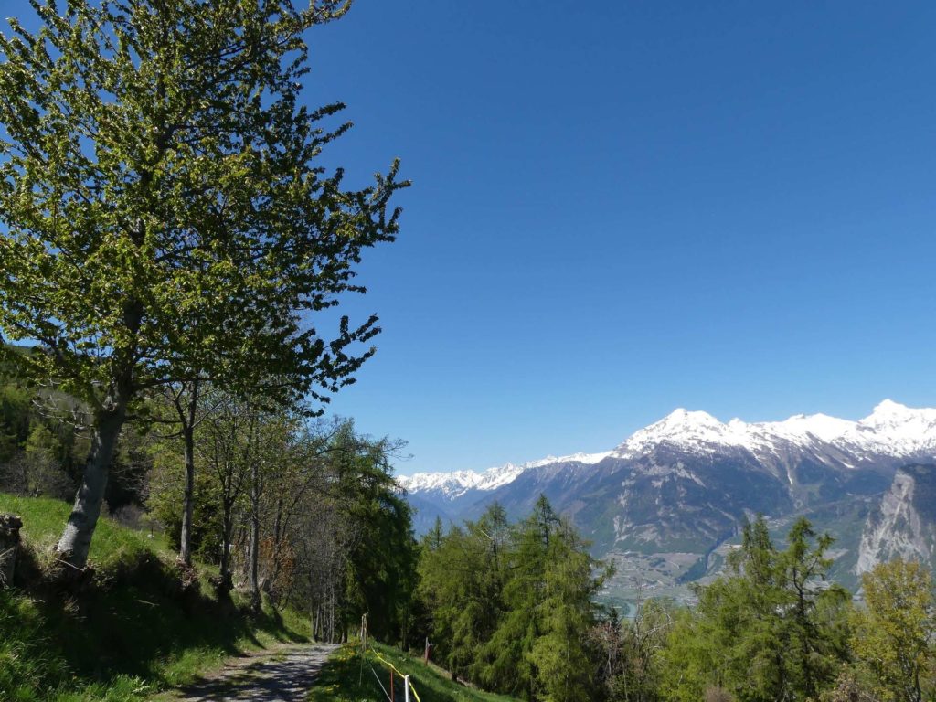 nendaz-fey-gare-chamoson-130