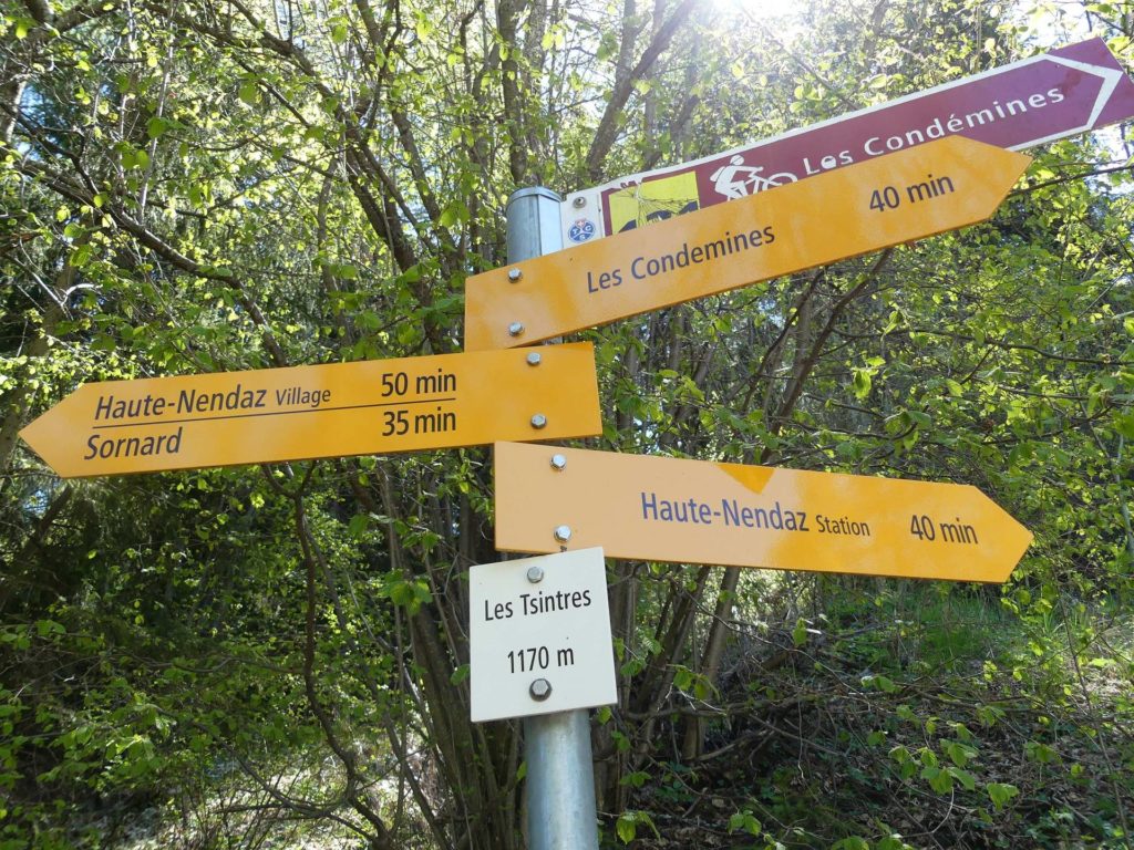 nendaz-fey-gare-chamoson-133