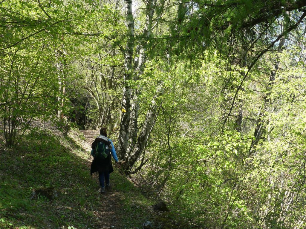 nendaz-fey-gare-chamoson-136