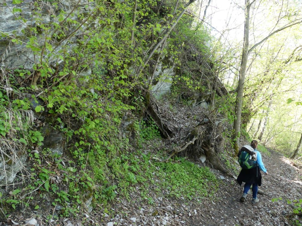 nendaz-fey-gare-chamoson-138
