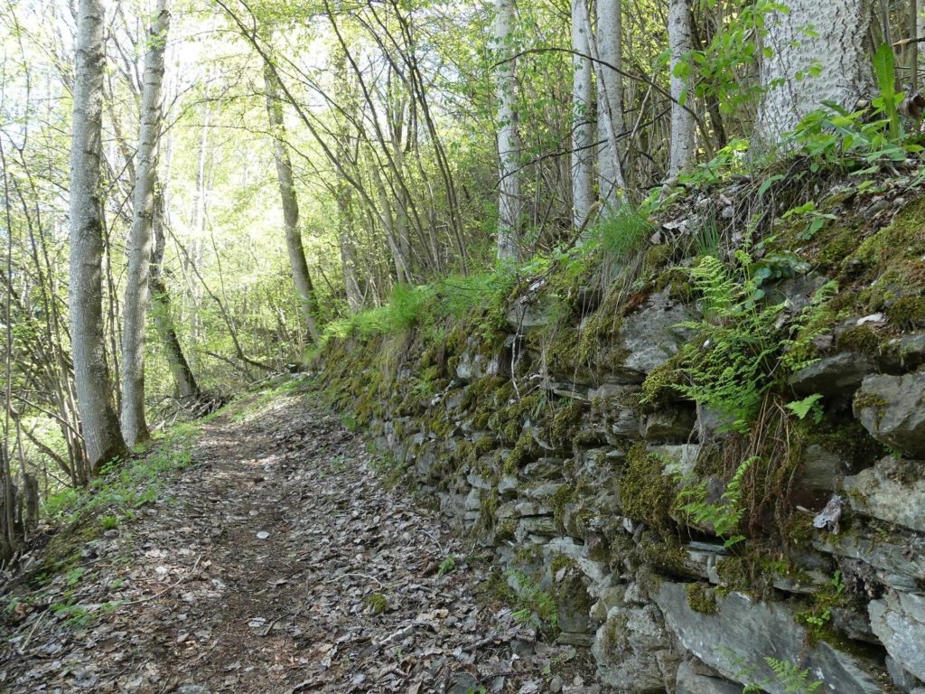 nendaz-fey-gare-chamoson-139