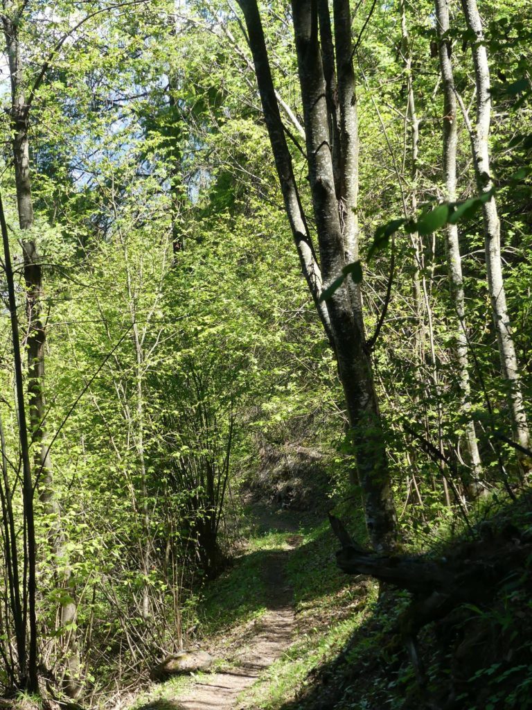 nendaz-fey-gare-chamoson-144