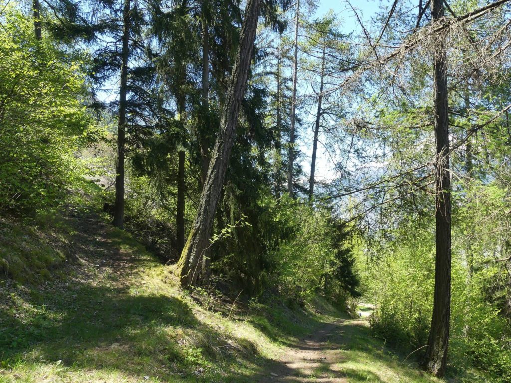 nendaz-fey-gare-chamoson-145