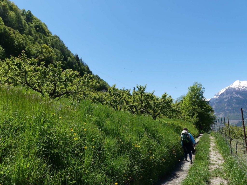 nendaz-fey-gare-chamoson-184