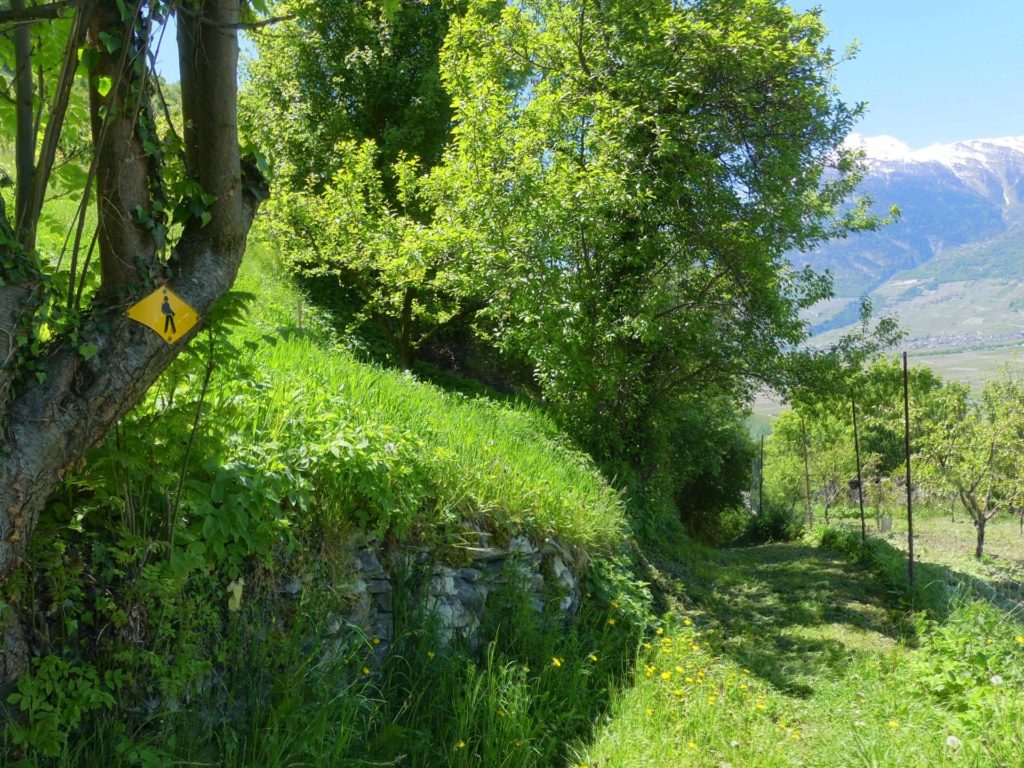 nendaz-fey-gare-chamoson-185