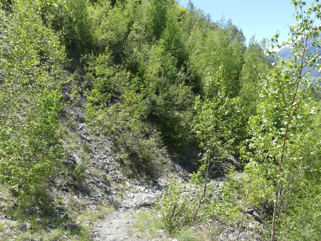 nendaz-fey-gare-chamoson-197