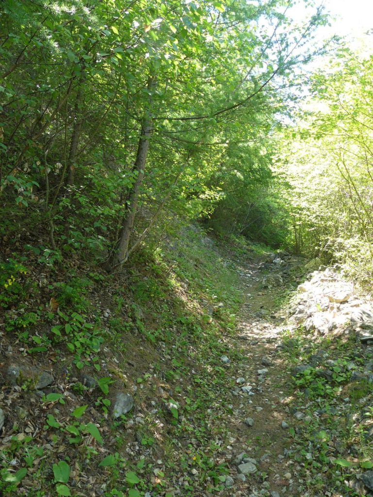 nendaz-fey-gare-chamoson-198
