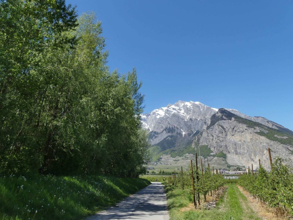 nendaz-fey-gare-chamoson-211