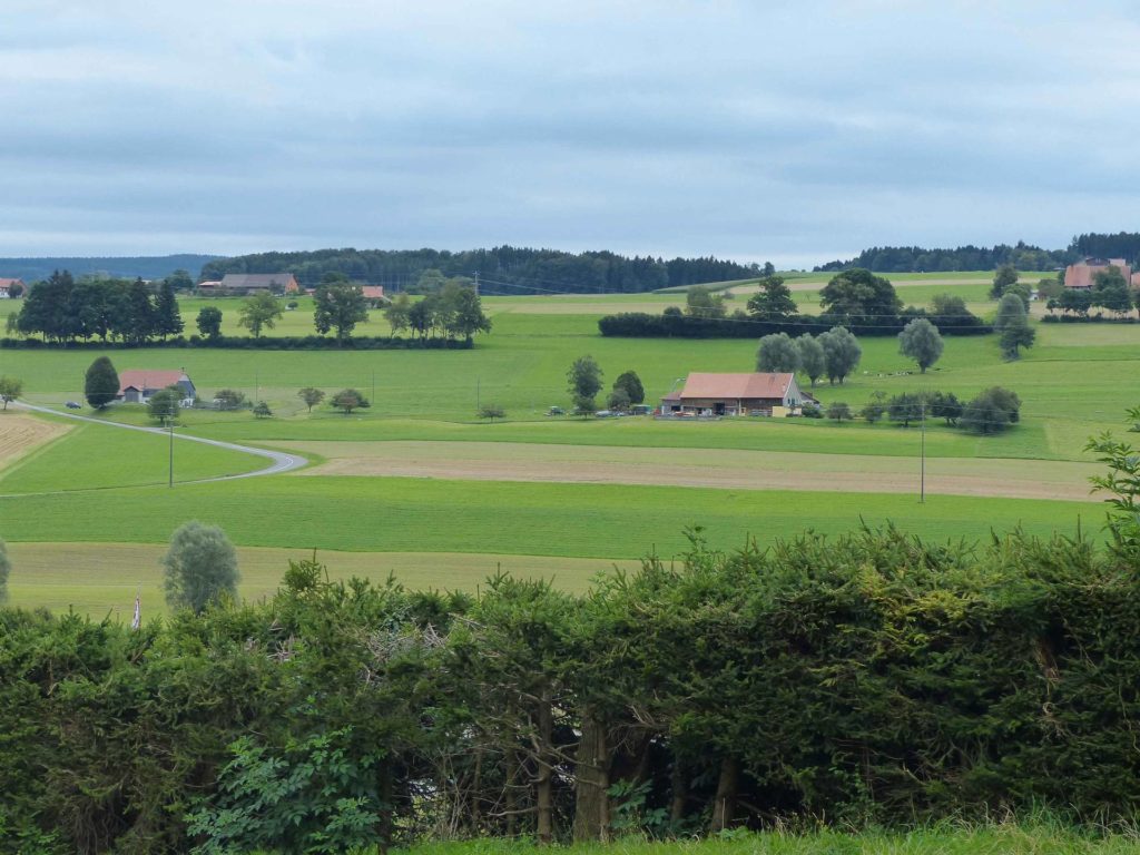 romont-la-neirigue-romont-108