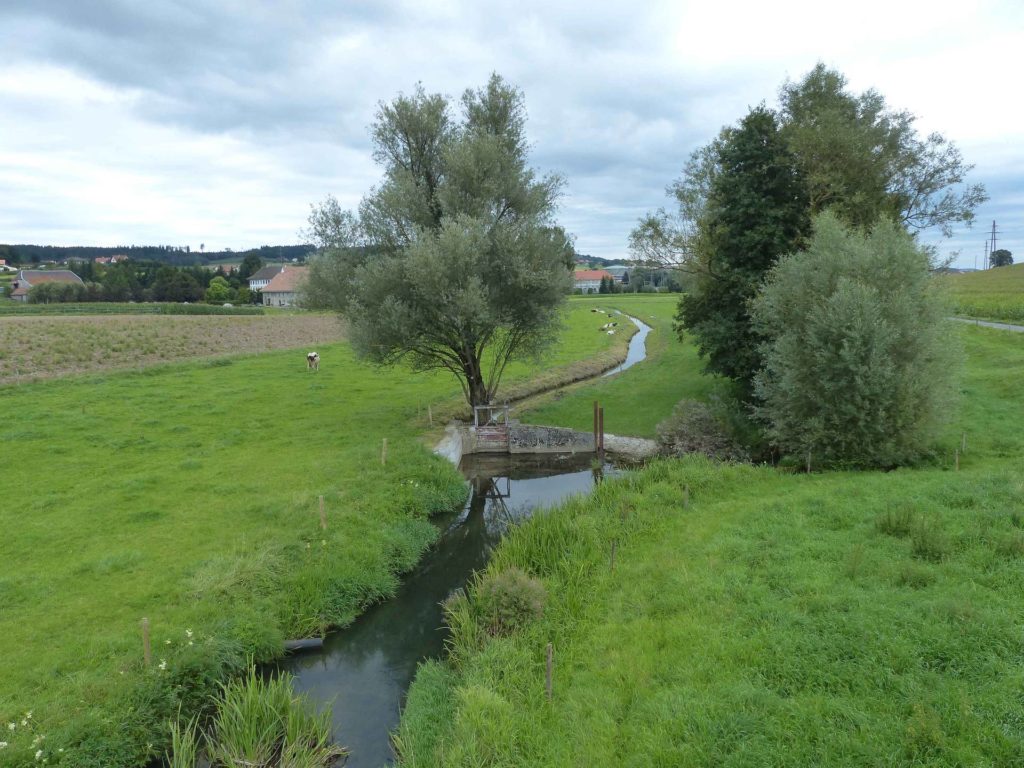 romont-la-neirigue-romont-111