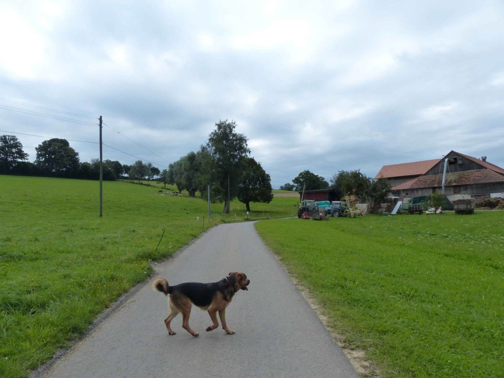 romont-la-neirigue-romont-115