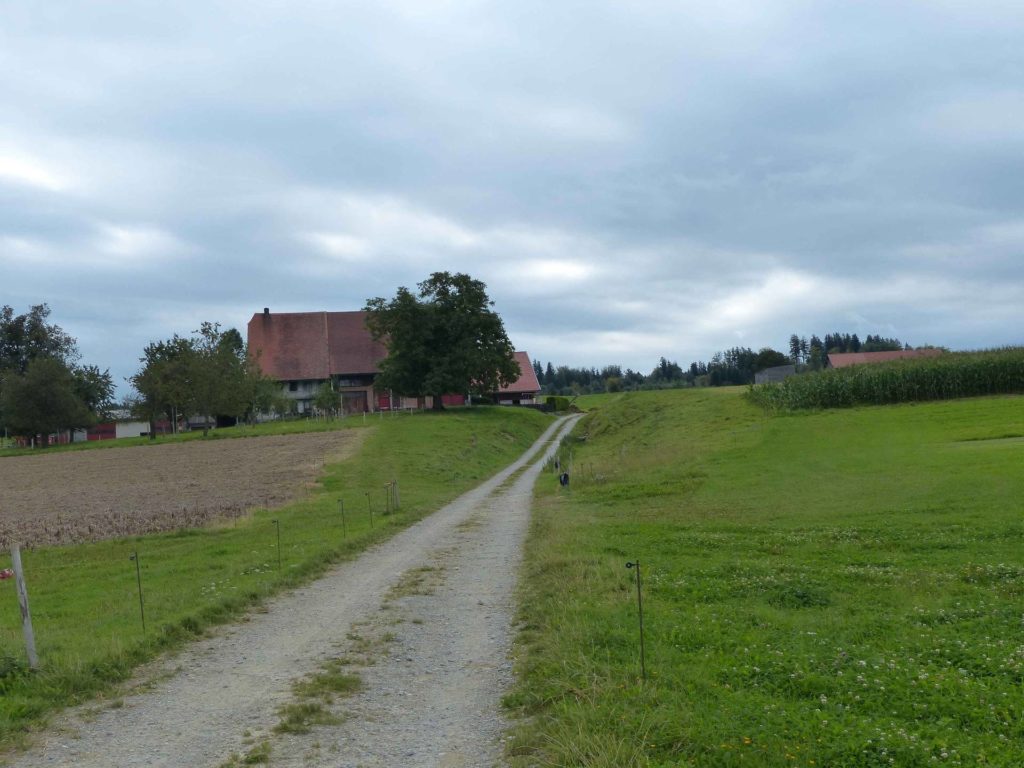 romont-la-neirigue-romont-116