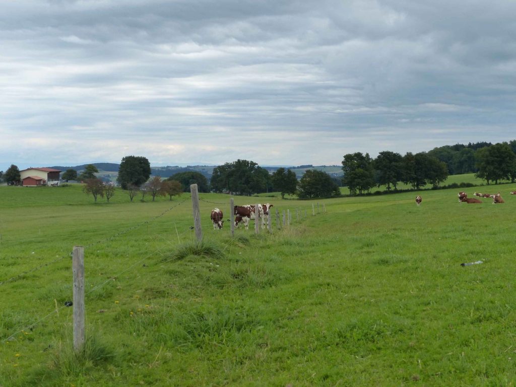 romont-la-neirigue-romont-117