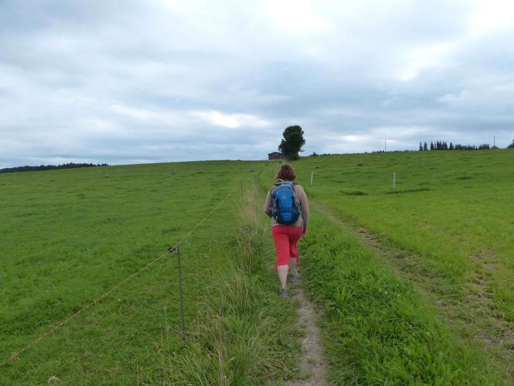romont-la-neirigue-romont-118