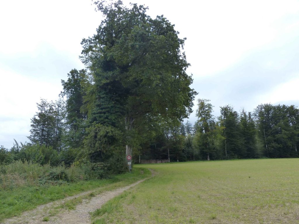romont-la-neirigue-romont-123
