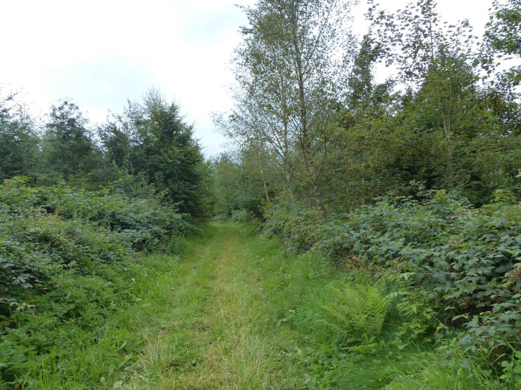 romont-la-neirigue-romont-124