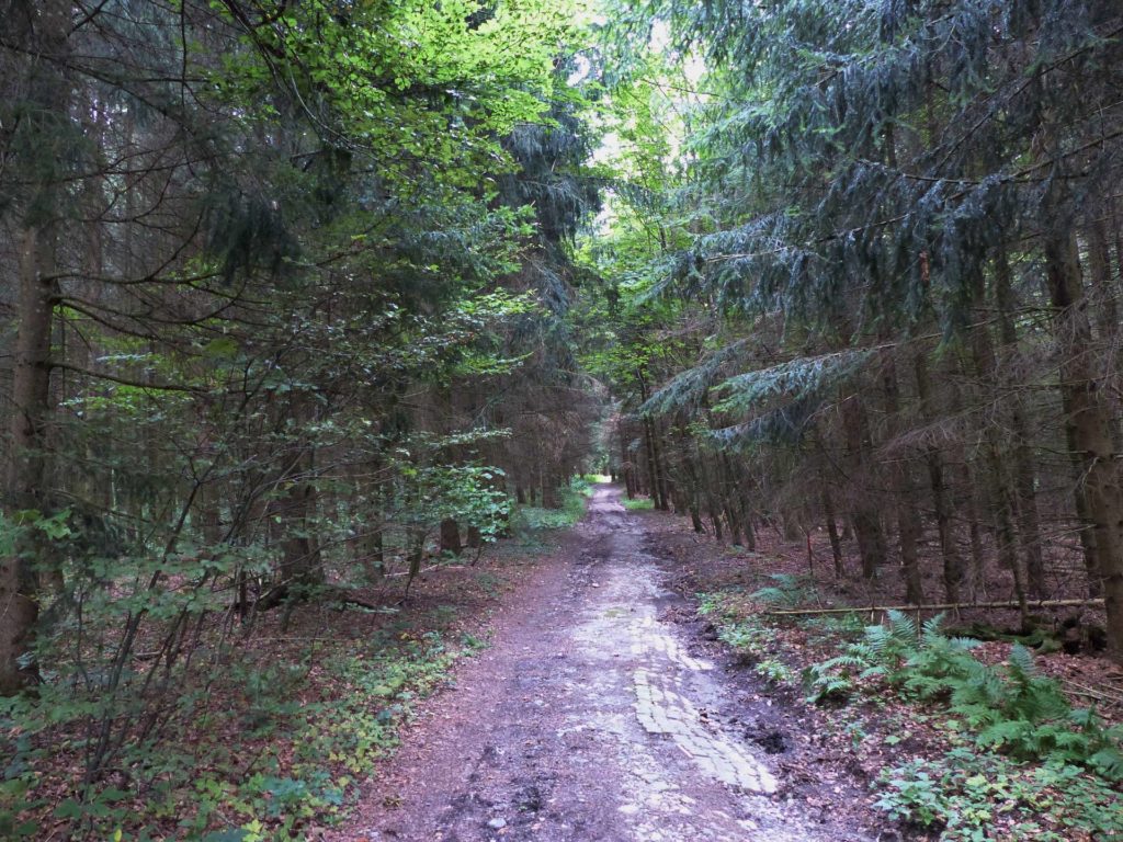 romont-la-neirigue-romont-125