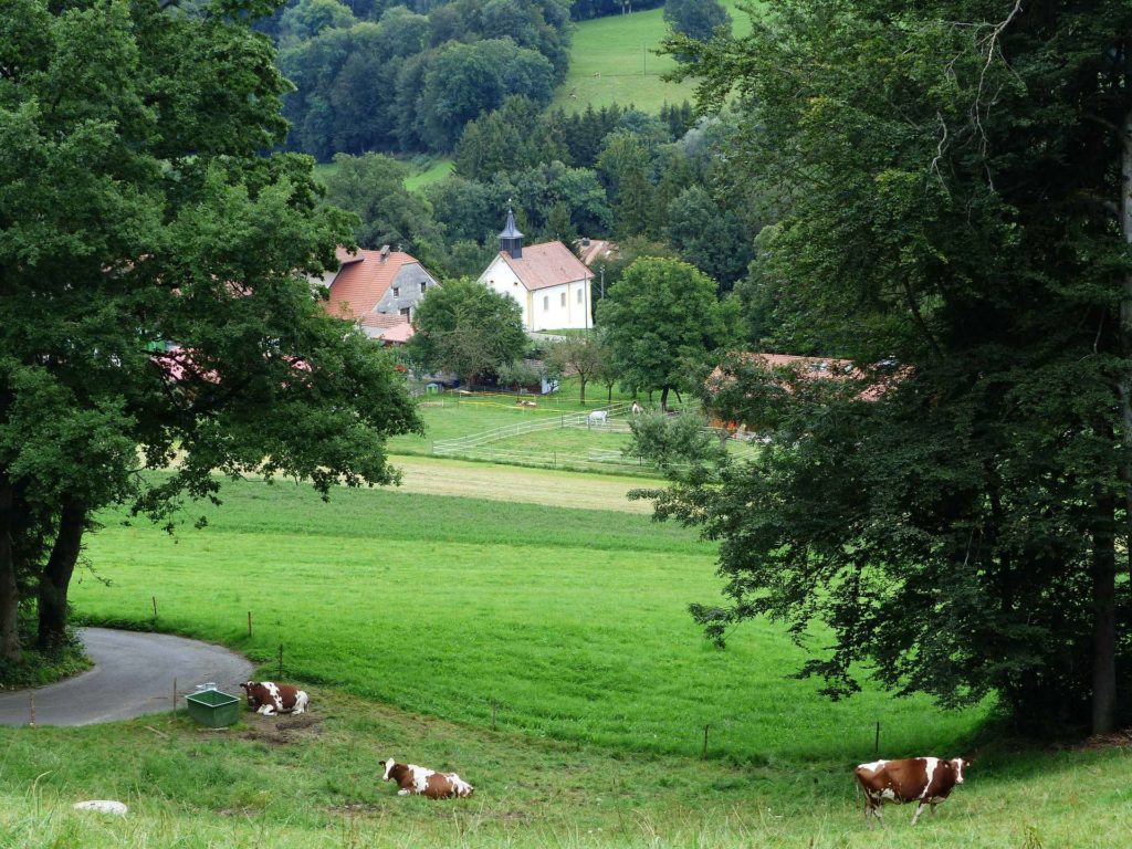 romont-la-neirigue-romont-135