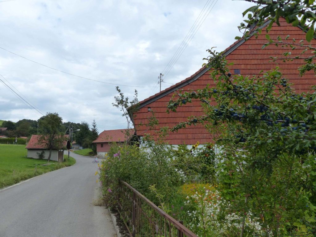 romont-la-neirigue-romont-142
