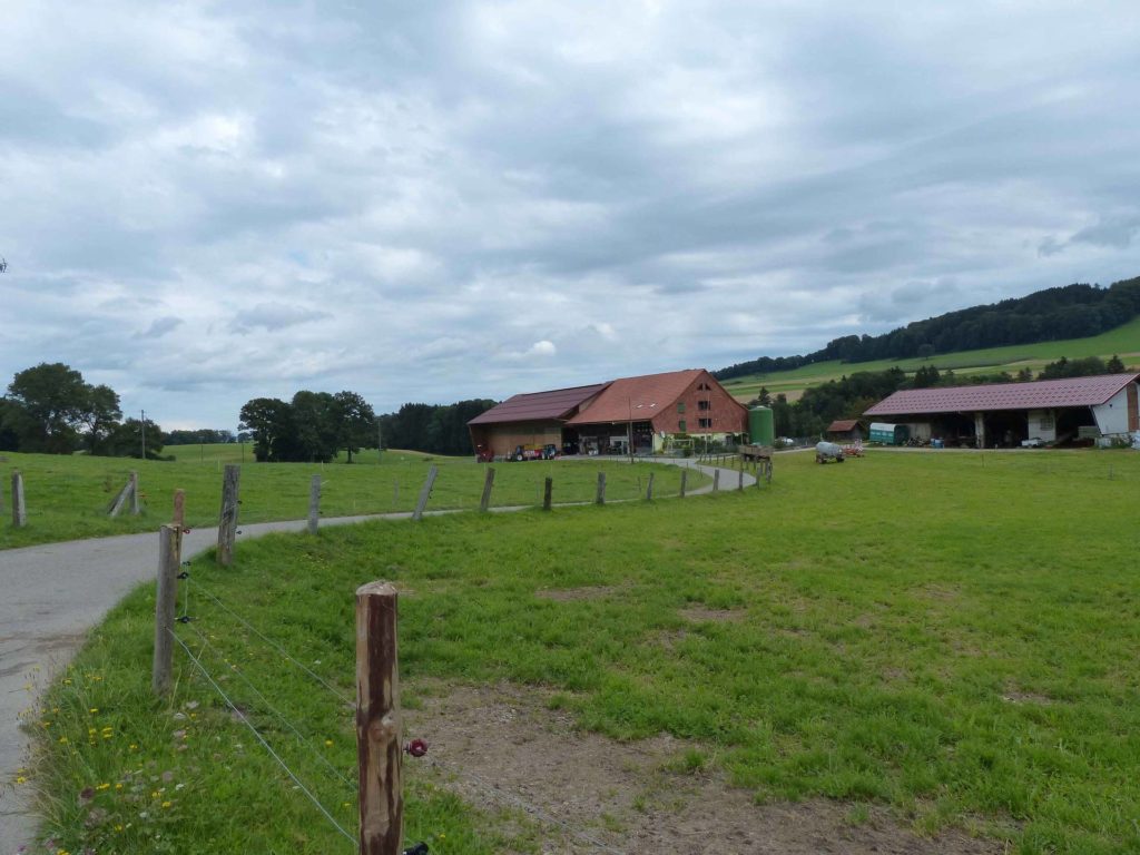 romont-la-neirigue-romont-143