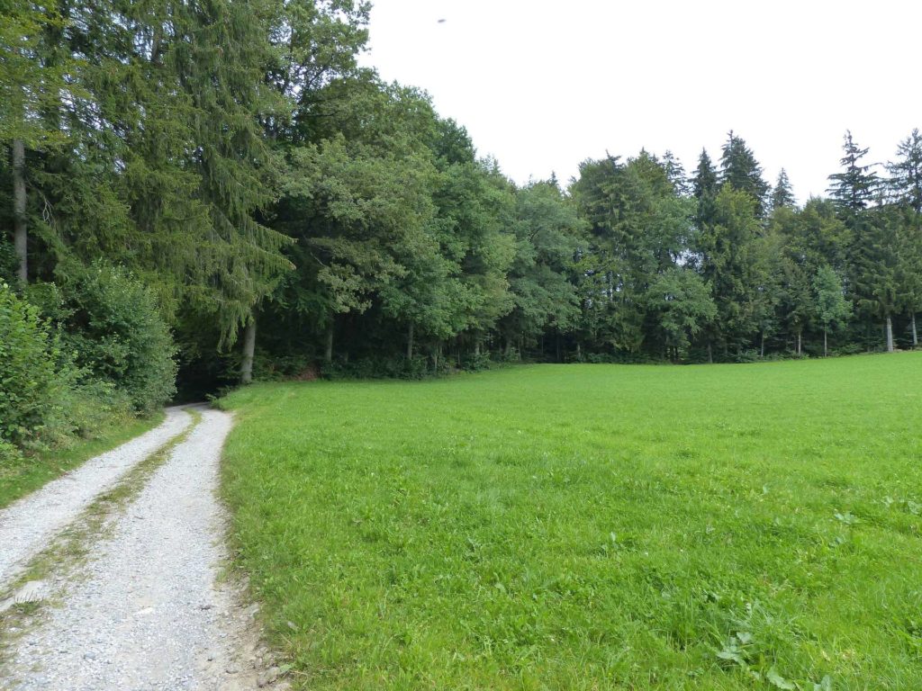 romont-la-neirigue-romont-145